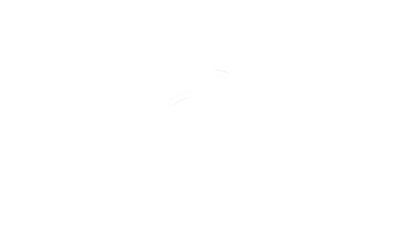 SoulHide